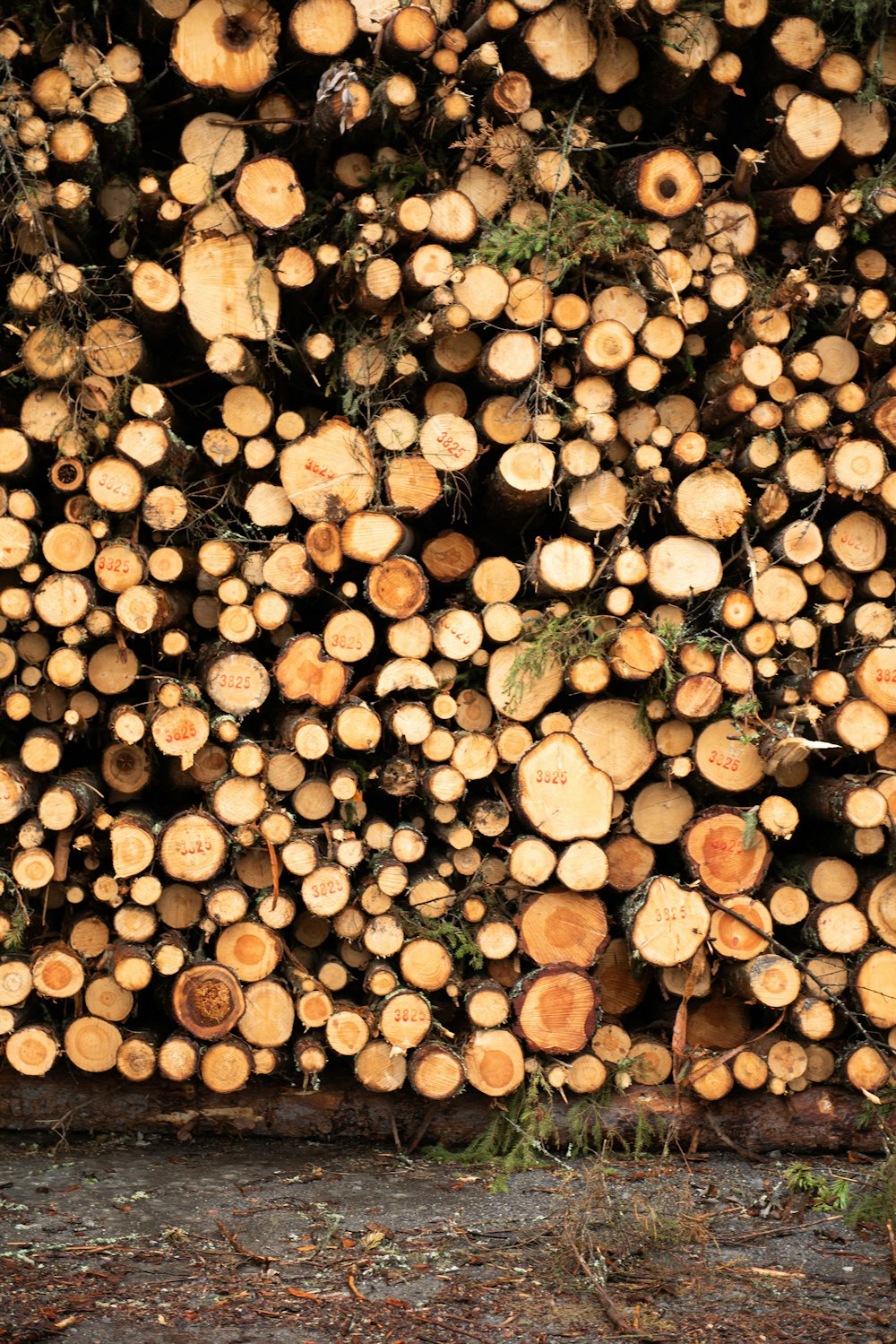 pile of brown wooden logs