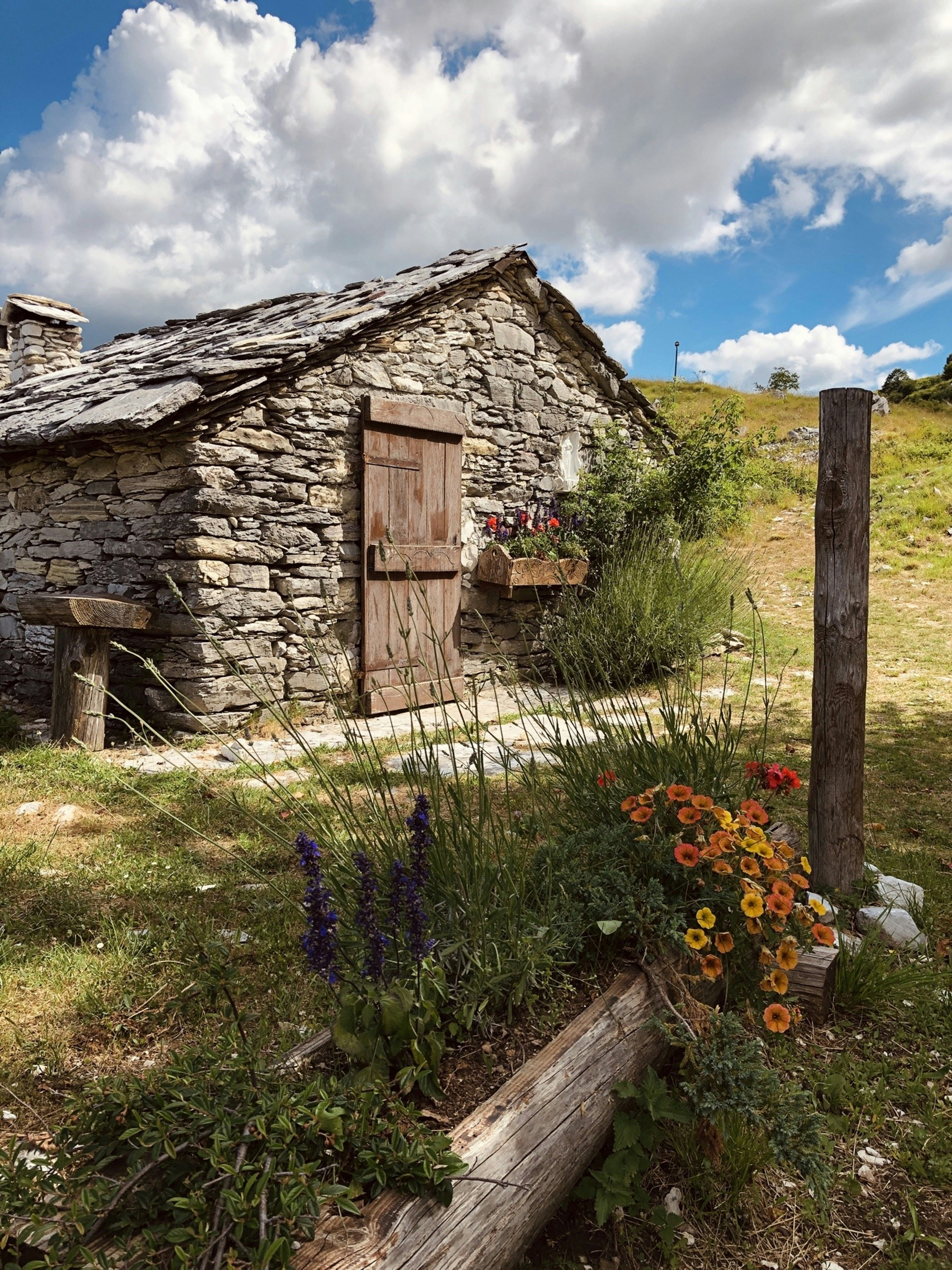 Photo by kathyadahil