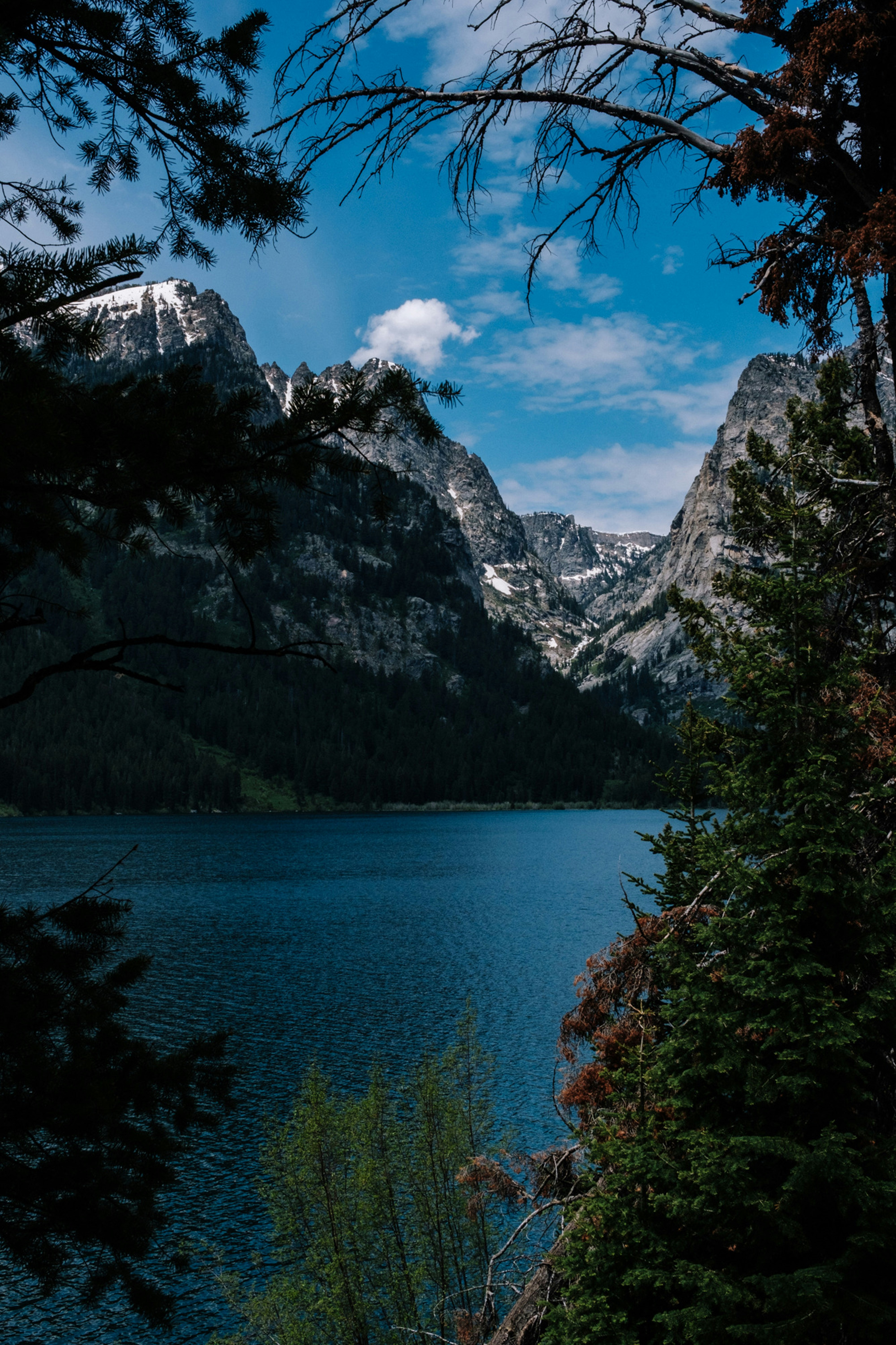 Photo by kathyadahil