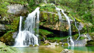a waterfall in the middle of a lush green forest