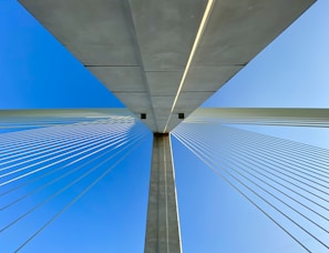 white bridge under blue sky during daytime