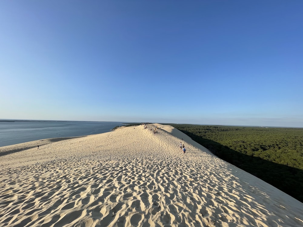 brown sand near body of water during daytime