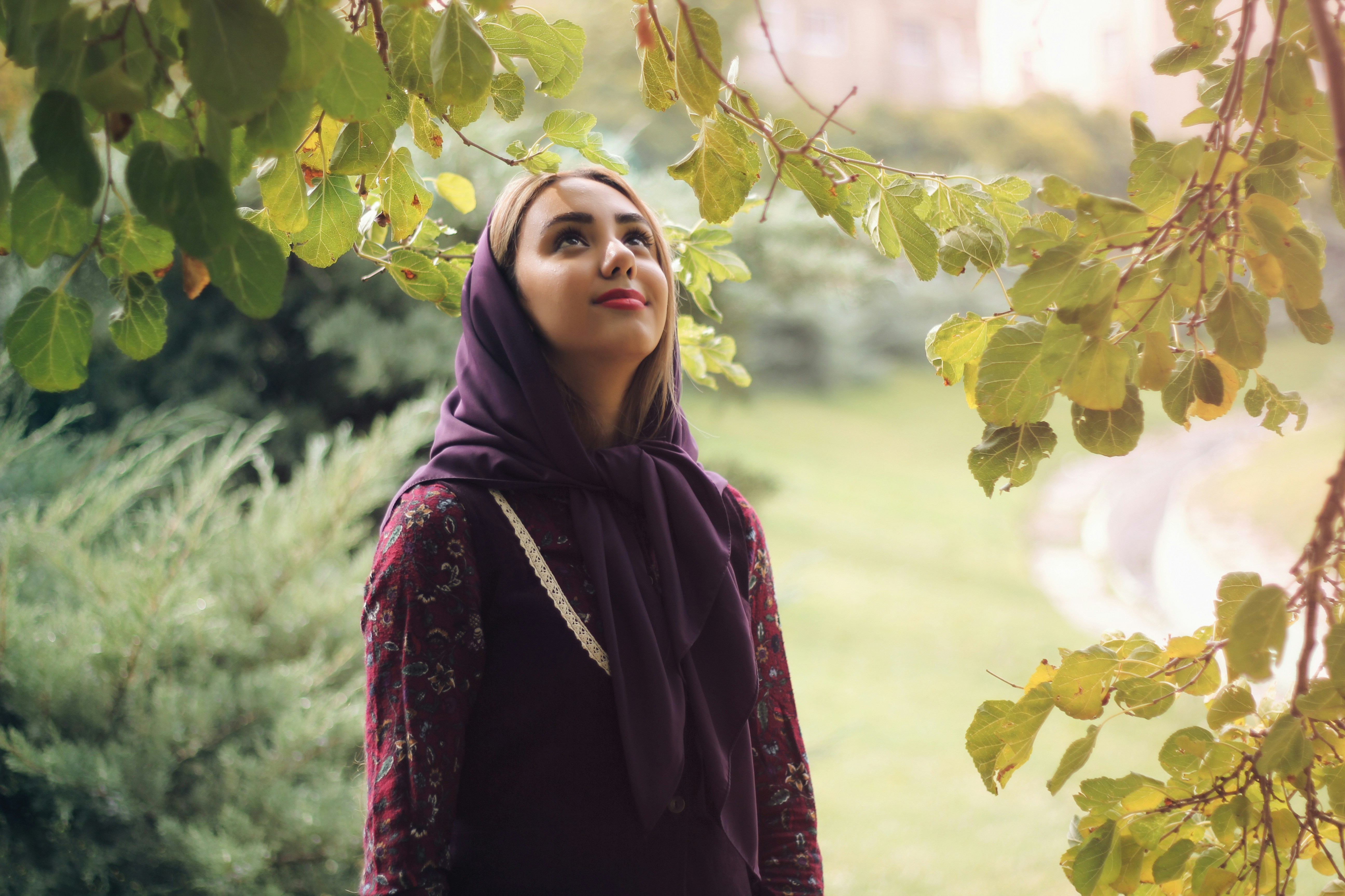 Photo by mohammadrezanasimi