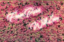 A lush wall of pink, purple, and white roses densely covers the background, creating a vibrant floral backdrop. In front of the flowers, a neon sign with a warm glow displays the words 'From Paris With Love' across the center.