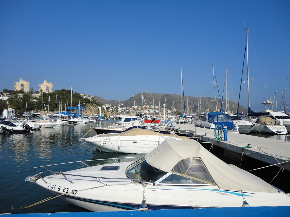 white and blue boats on sea during daytime