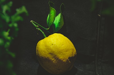 A large, ripe yellow lemon is positioned against a dark background, accompanied by a small sprig of green leaves still attached to its stem. The lighting highlights the texture of the lemon's peel and casts soft shadows.