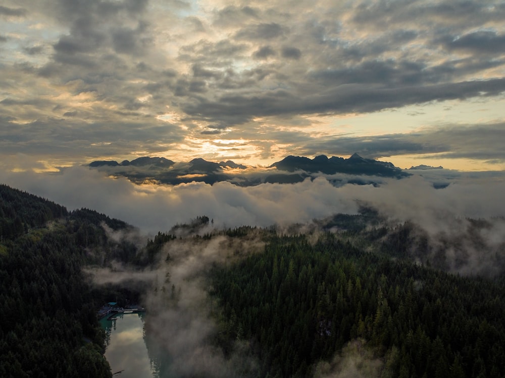 Arbres verts et montagnes sous un ciel nuageux pendant la journée