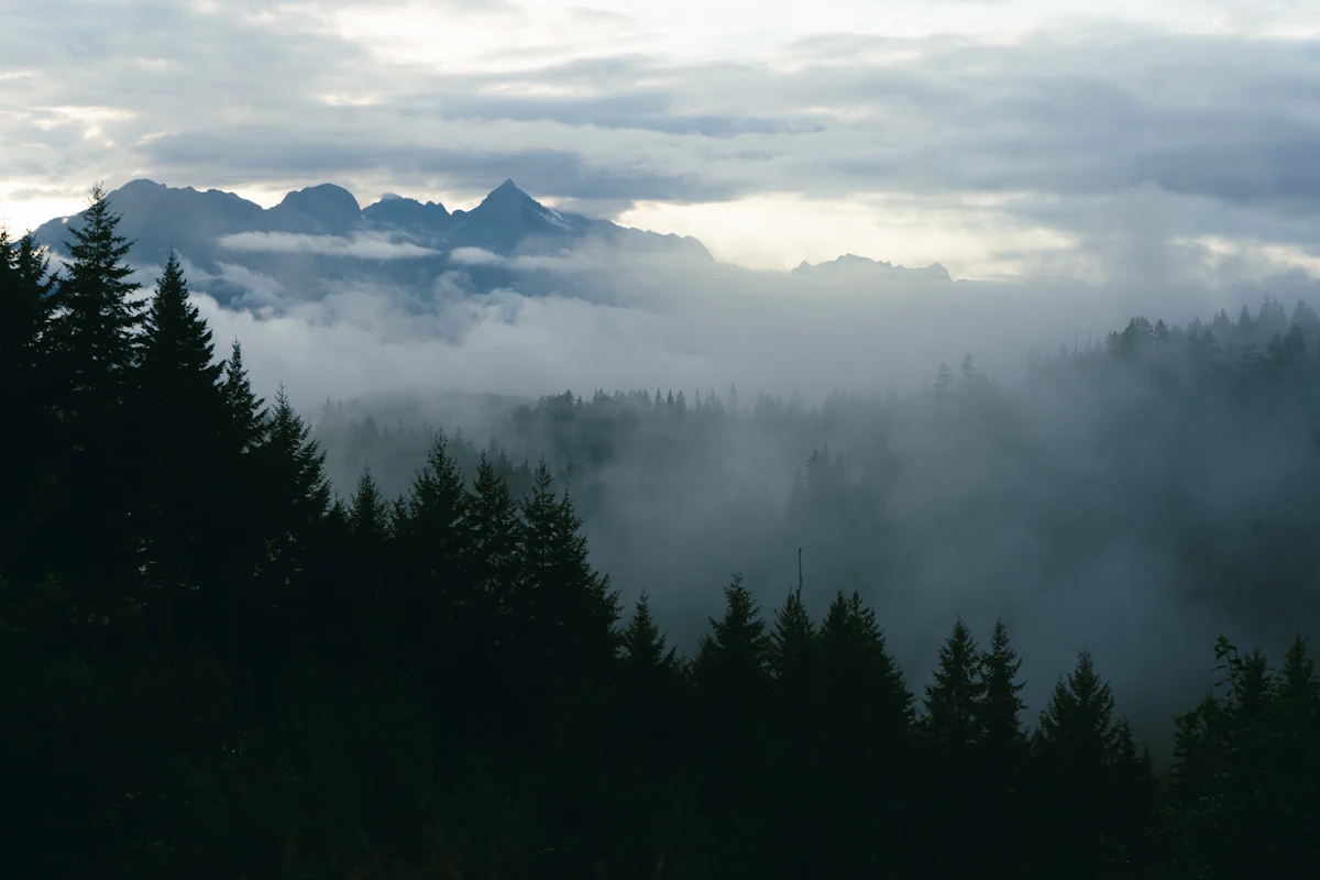 Jagged peaks above a forested valley filled with mist near Squamish