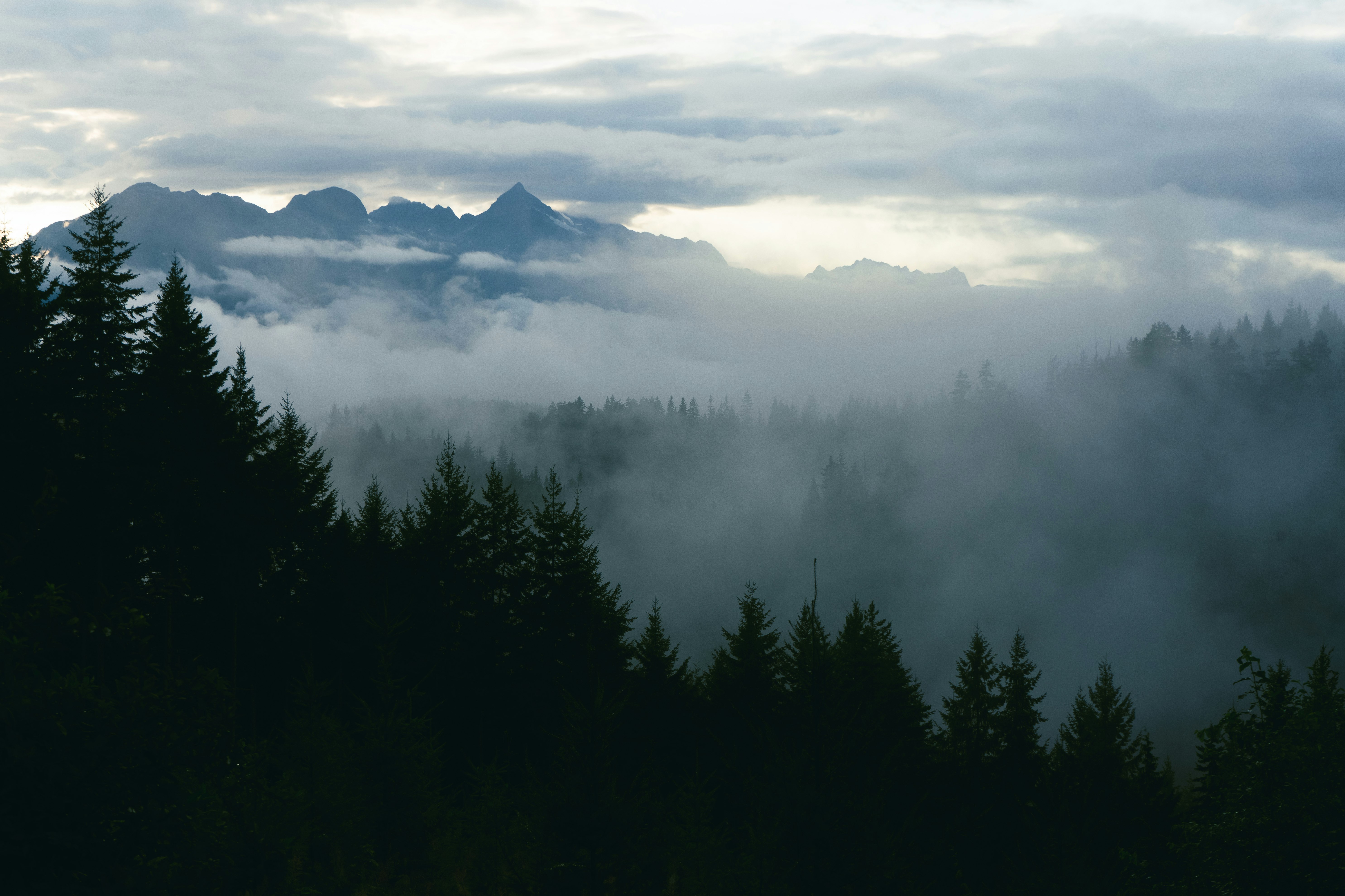 green trees and mountains under white clouds during daytime