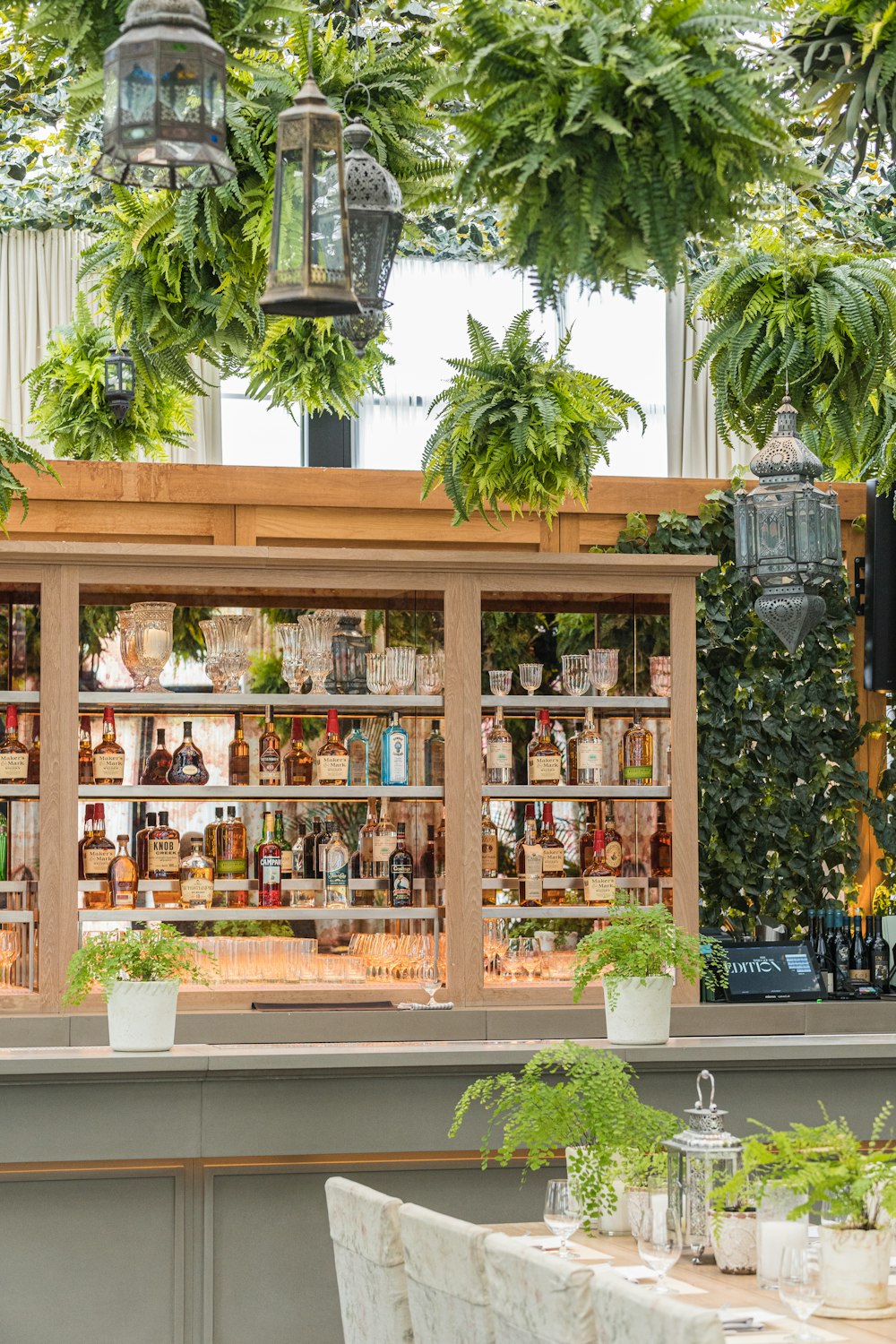 green palm tree near brown wooden shelf