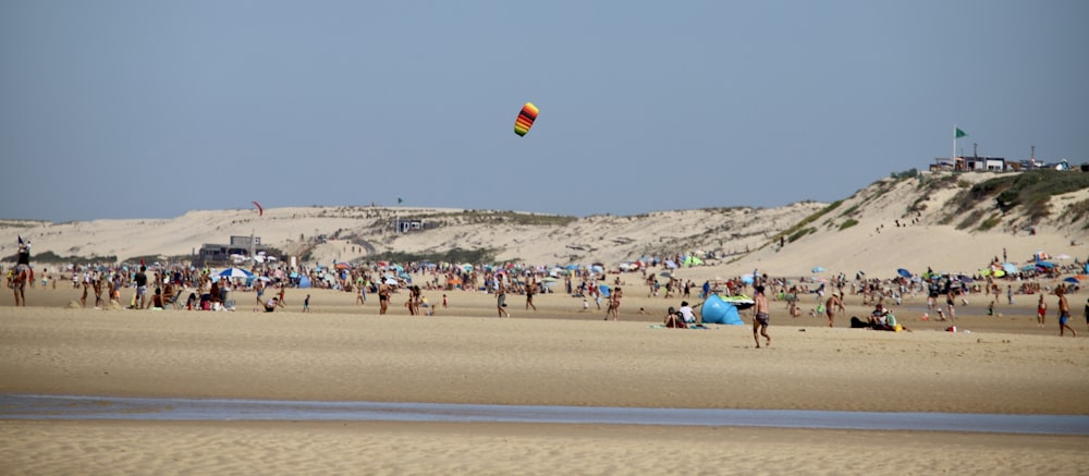 people on beach during daytime