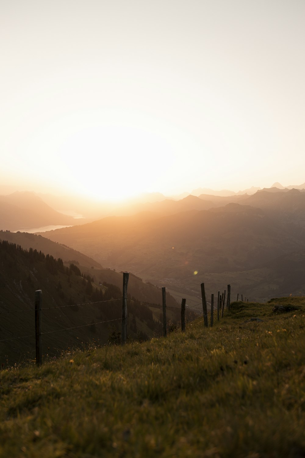 Champ d’herbe verte près de la montagne pendant la journée