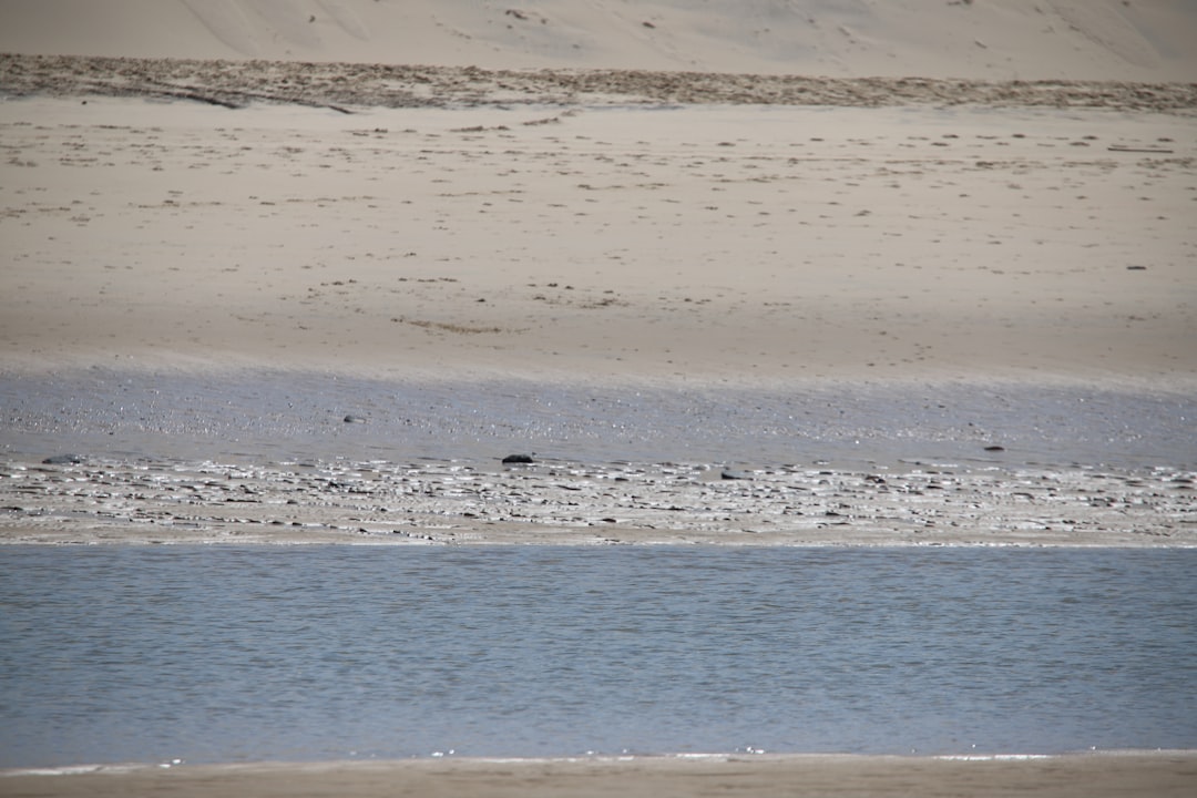 brown sand near body of water during daytime