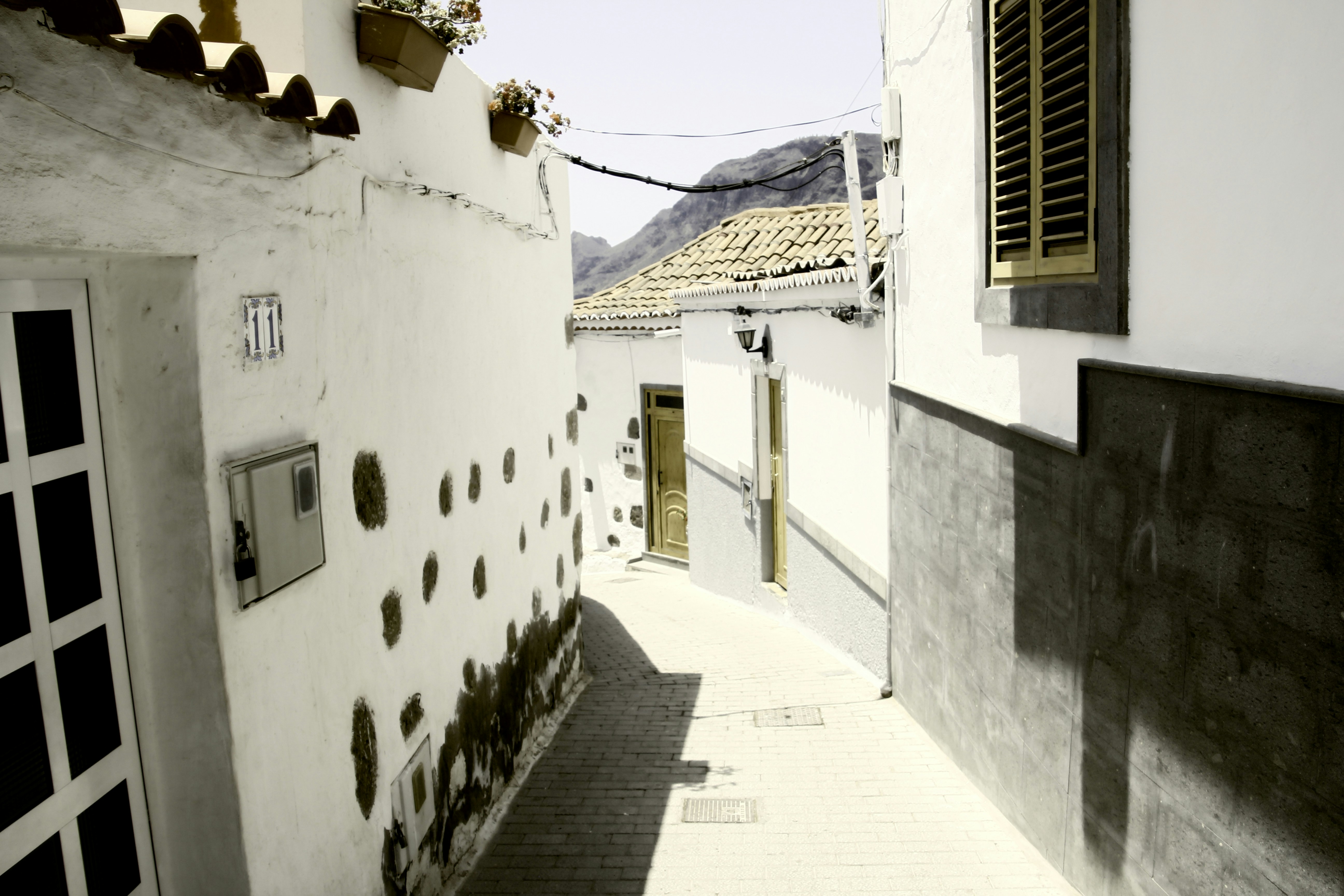 Photo by eswaran_arulkumar