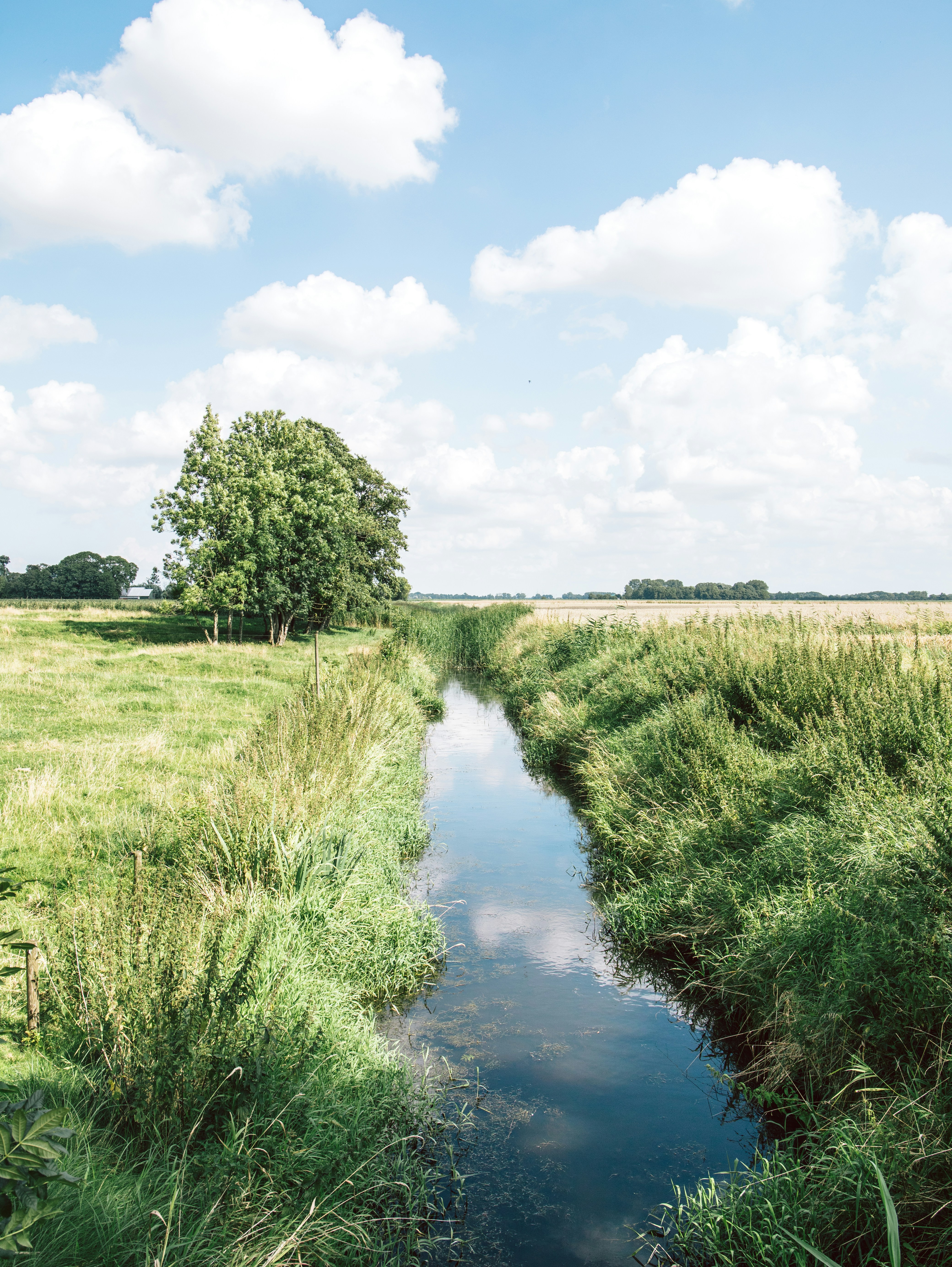 Photo by katharina_bill