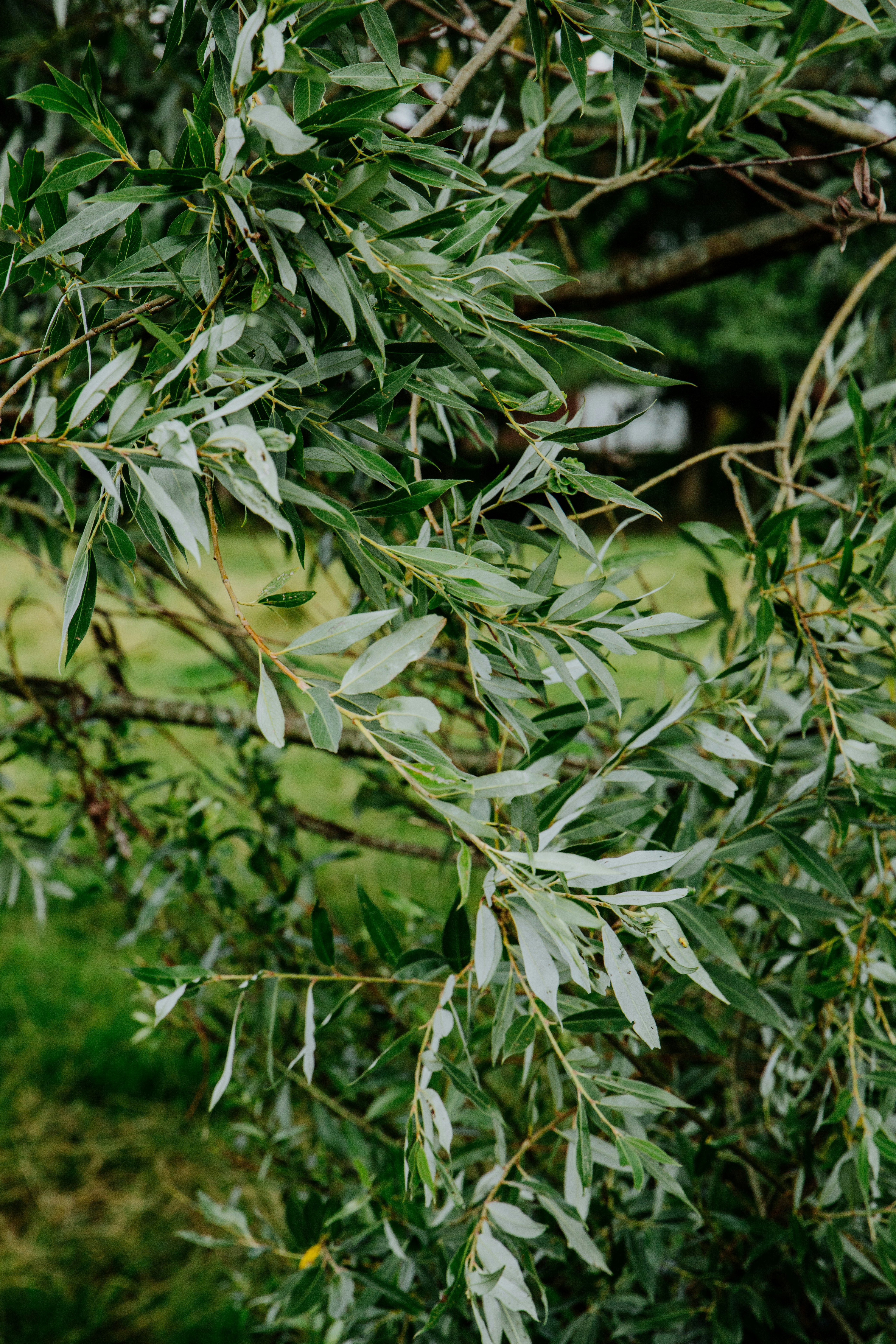 Photo by katharina_bill