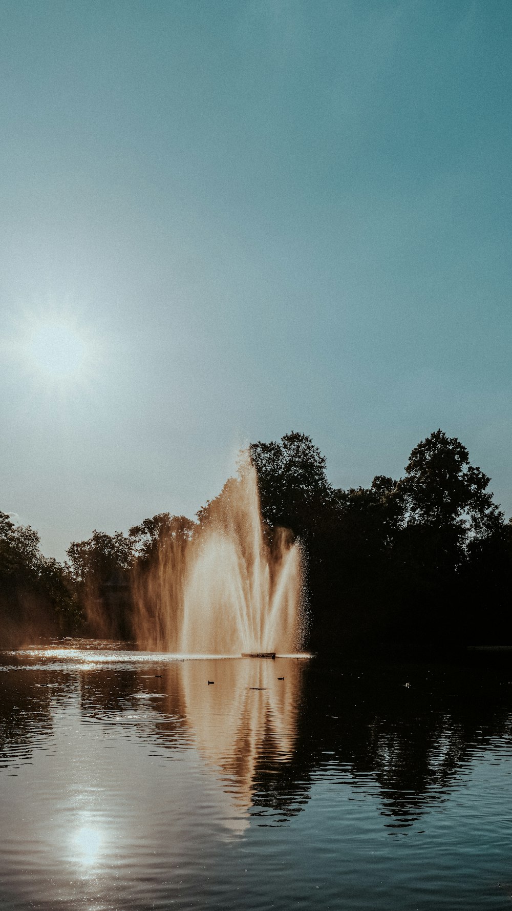 Fuente en medio del bosque durante el día