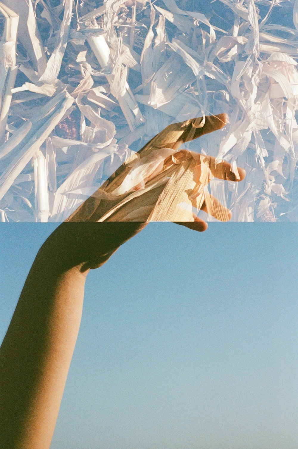 person holding white and blue floral textile