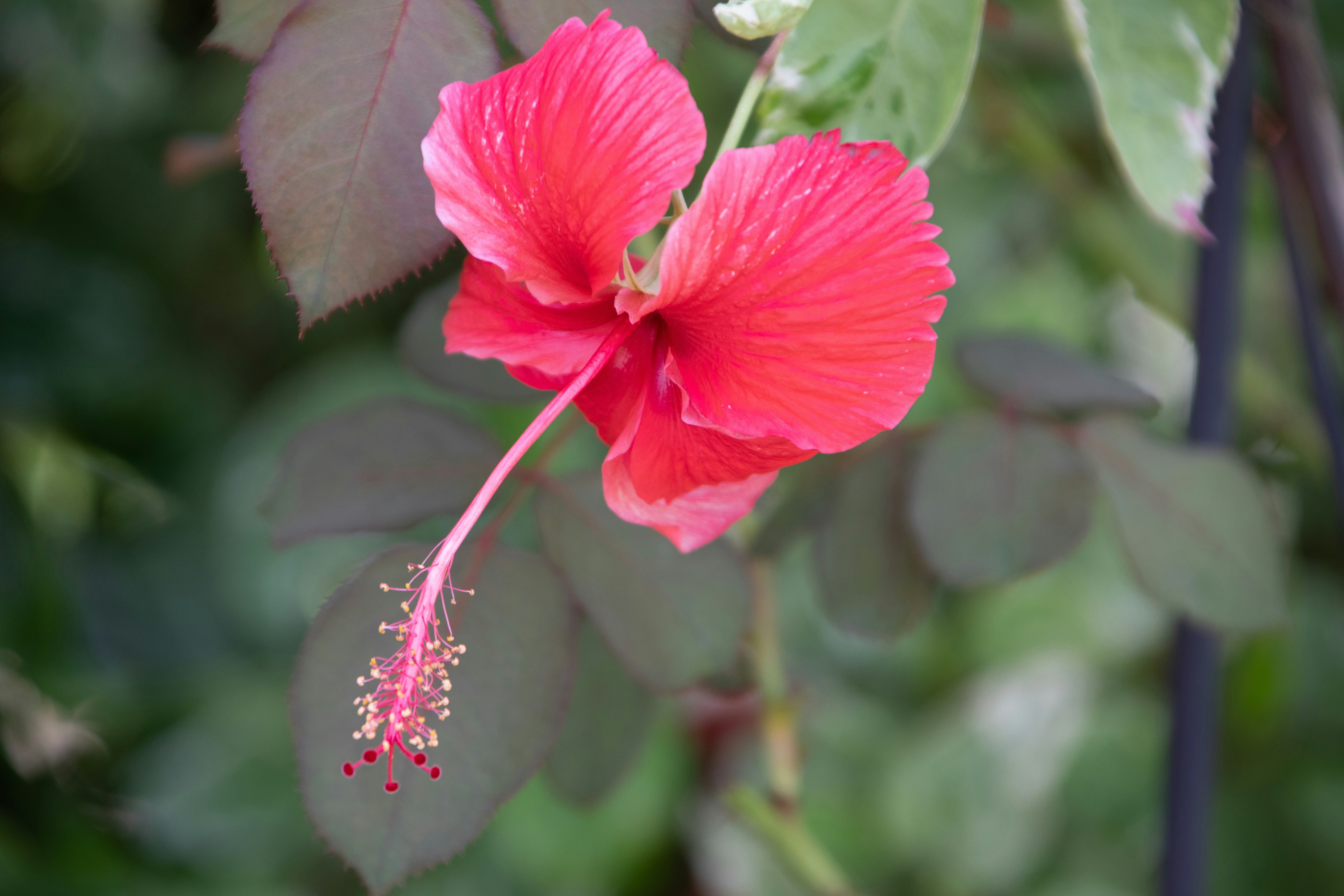 Photo by dpreacherdawn