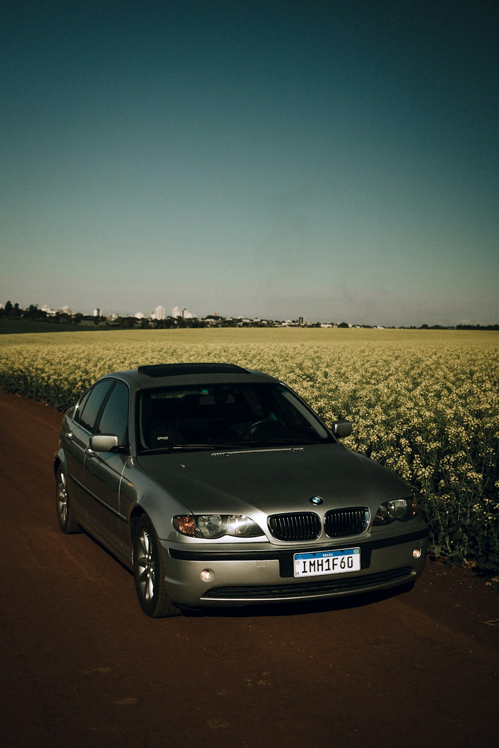 black audi a 4 on yellow flower field during daytime