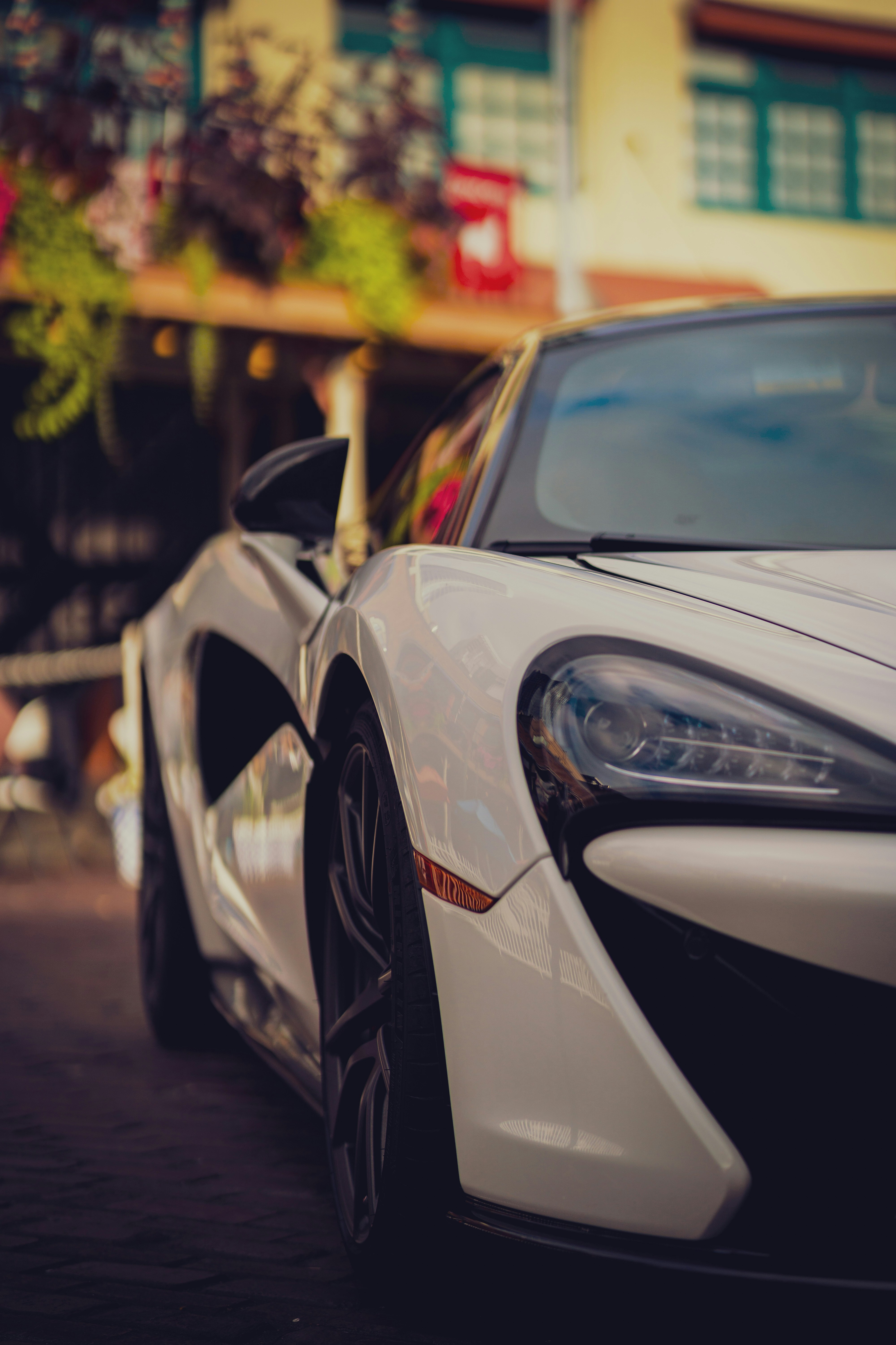 Photo by a_careless_human