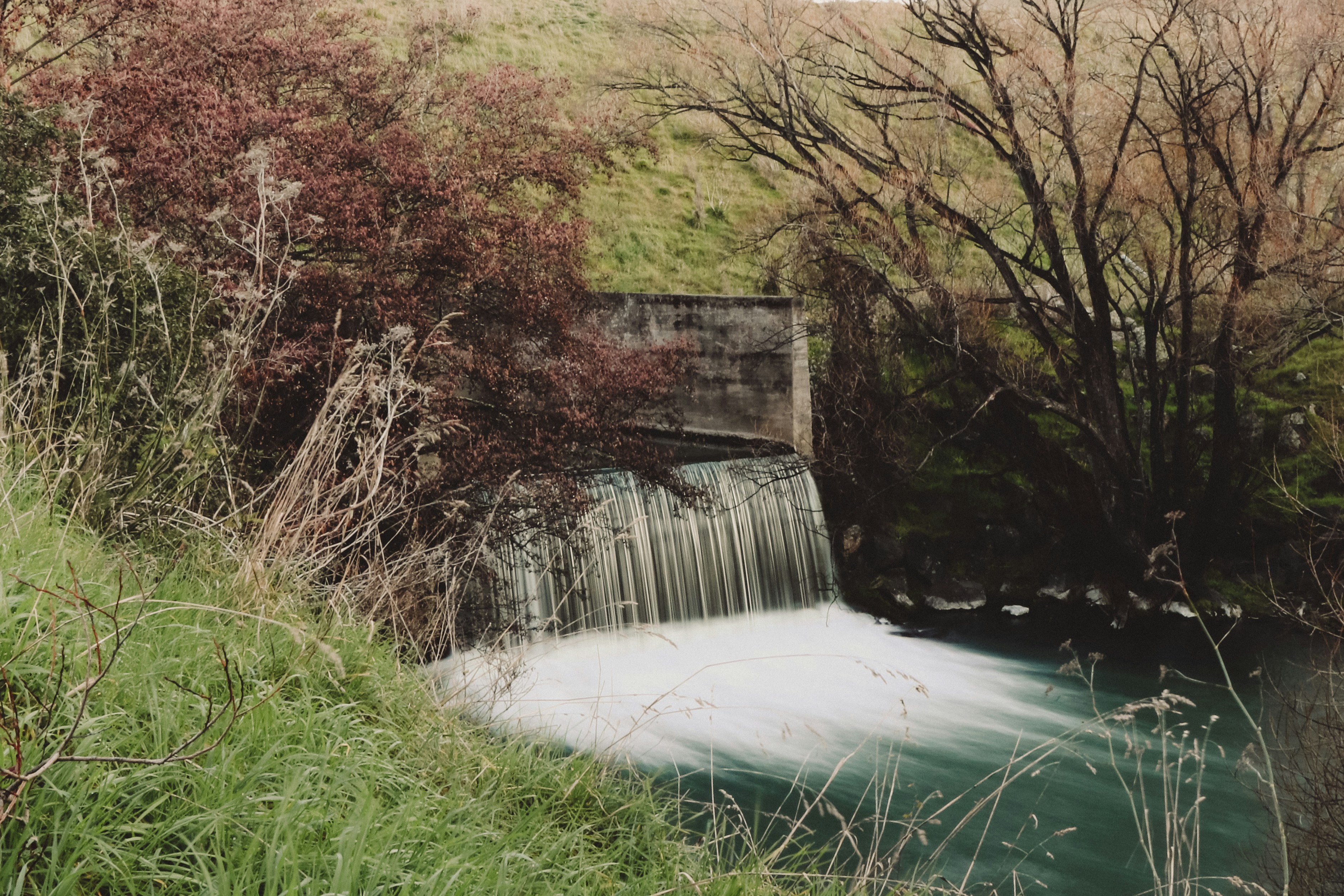 water falls in the middle of green and brown trees