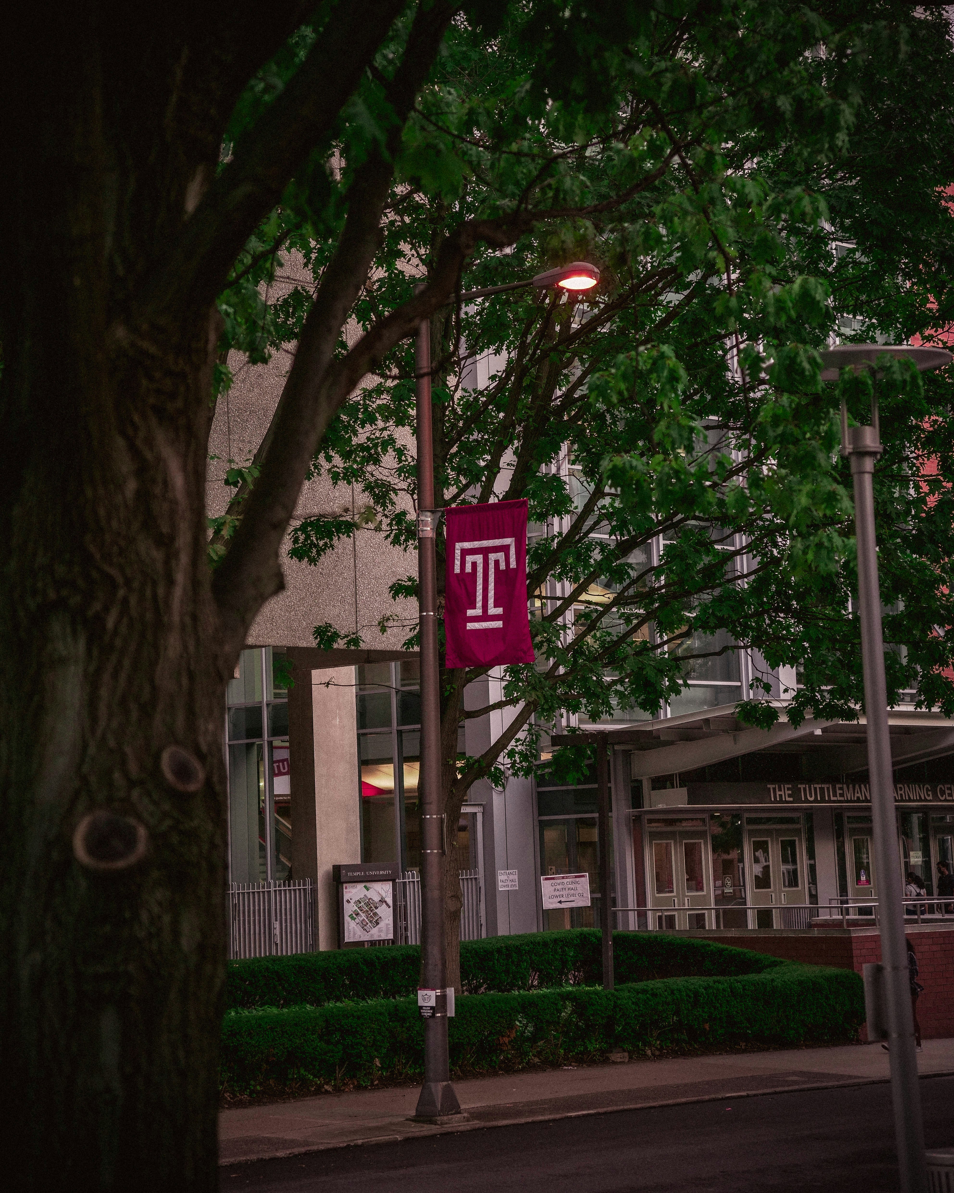 Temple University