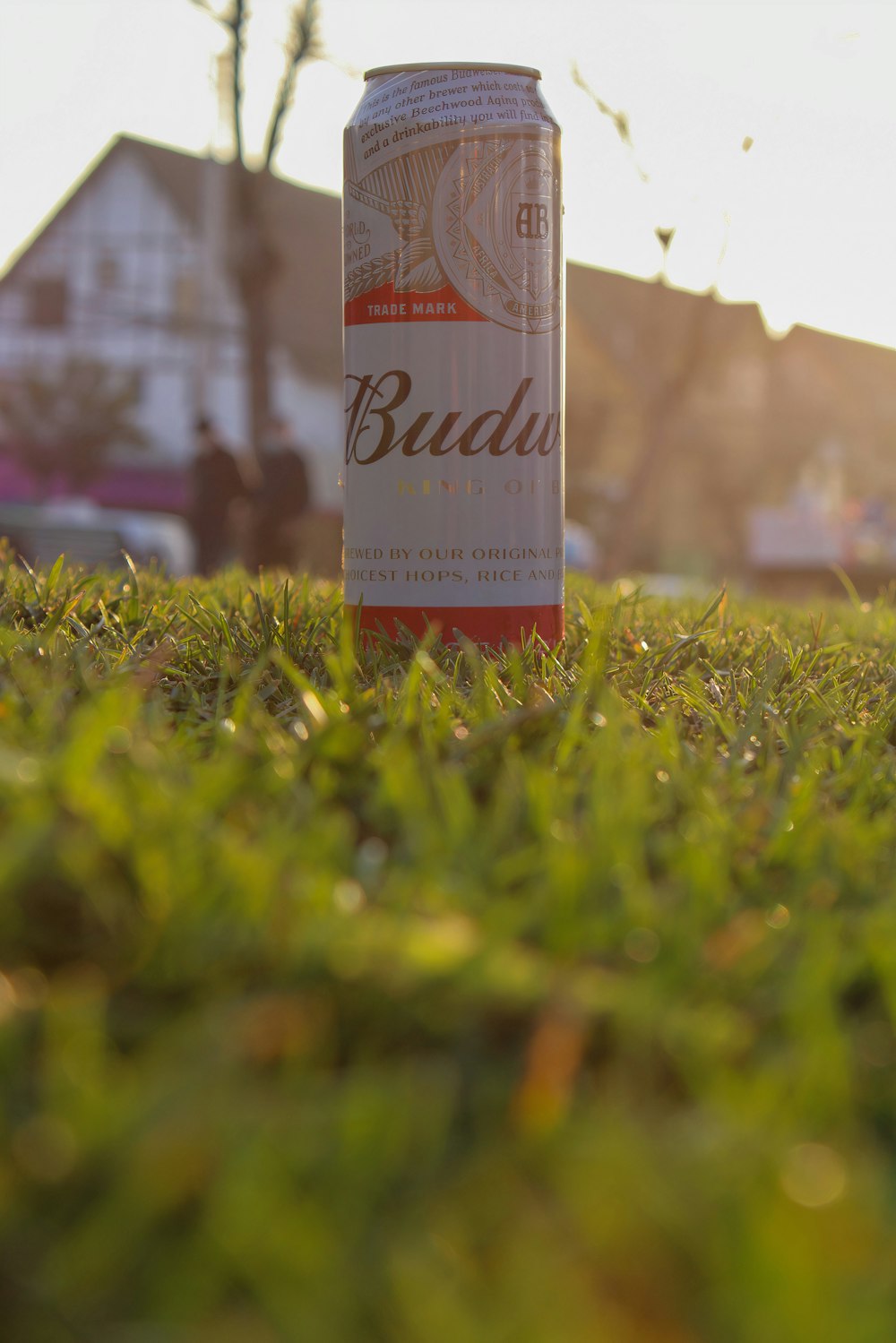 white and red labeled box on green grass