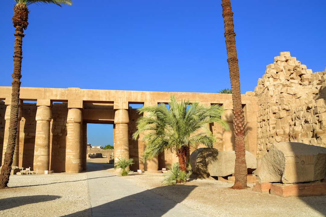 brown concrete building near palm trees during daytime