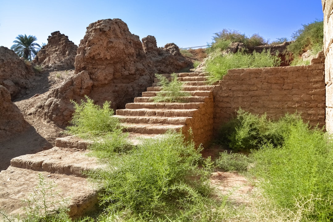 brown rock formation near green grass during daytime