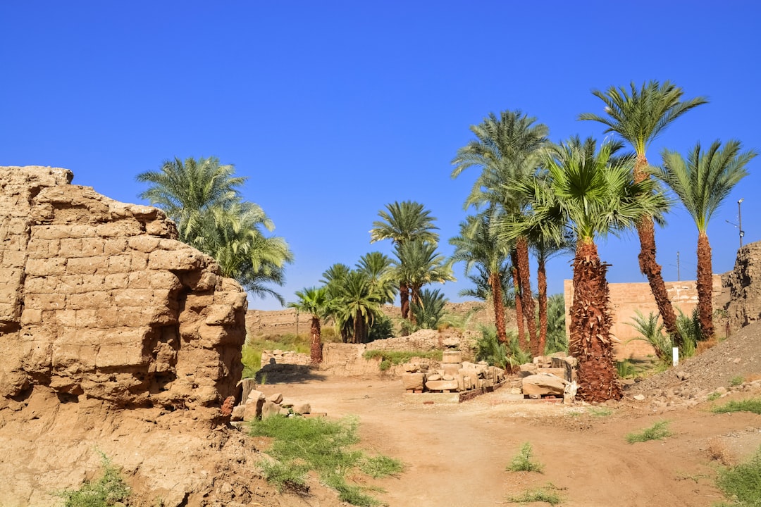 green palm trees near brown rock formation under blue sky during daytime