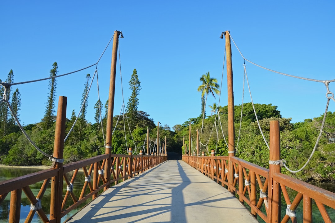 brown wooden bridge under blue sky during daytime