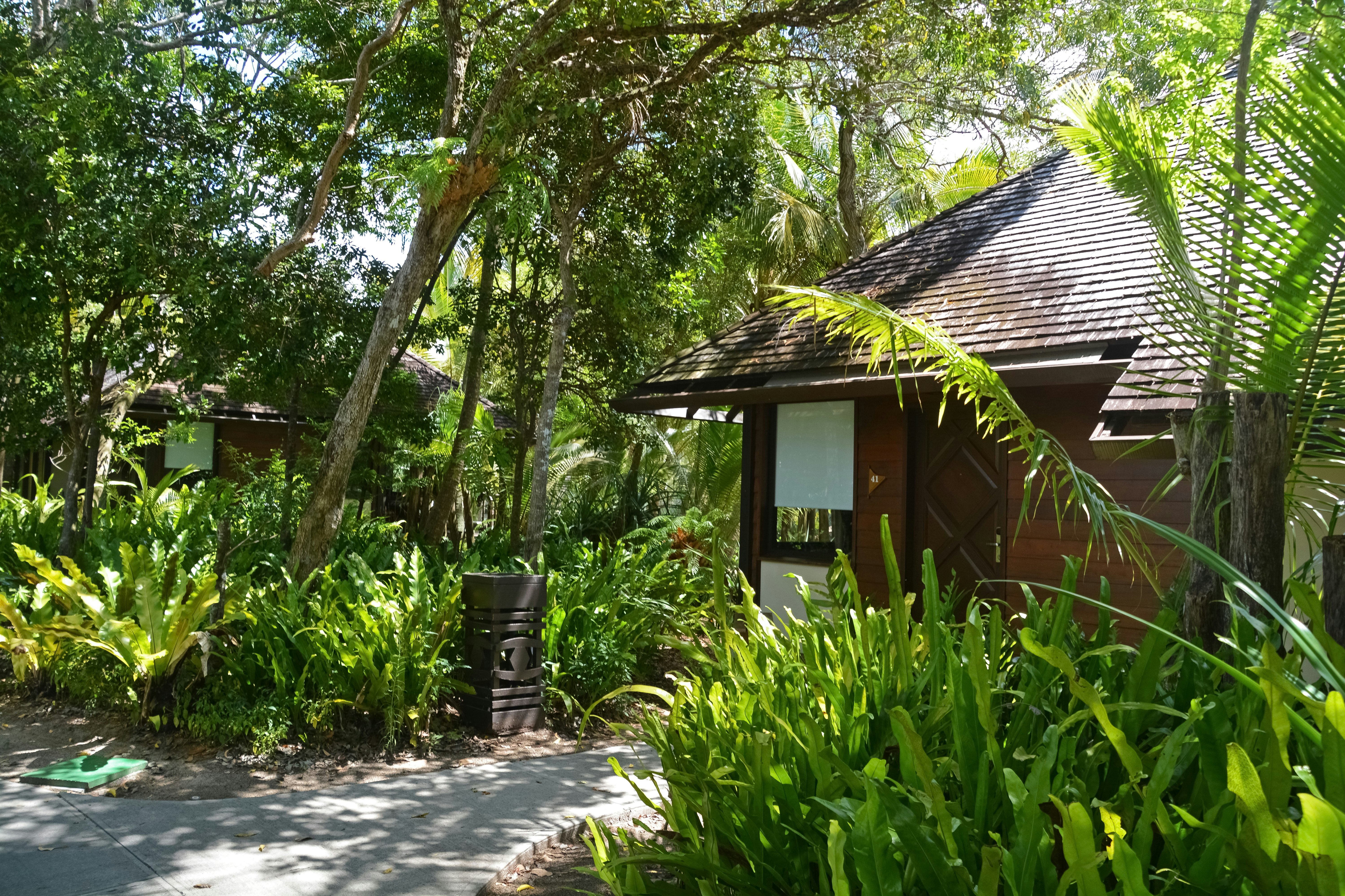 brown wooden house near green trees during daytime