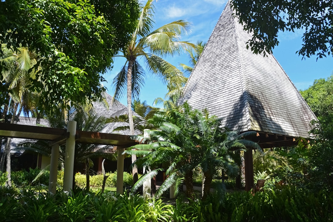 green palm trees near white concrete building during daytime