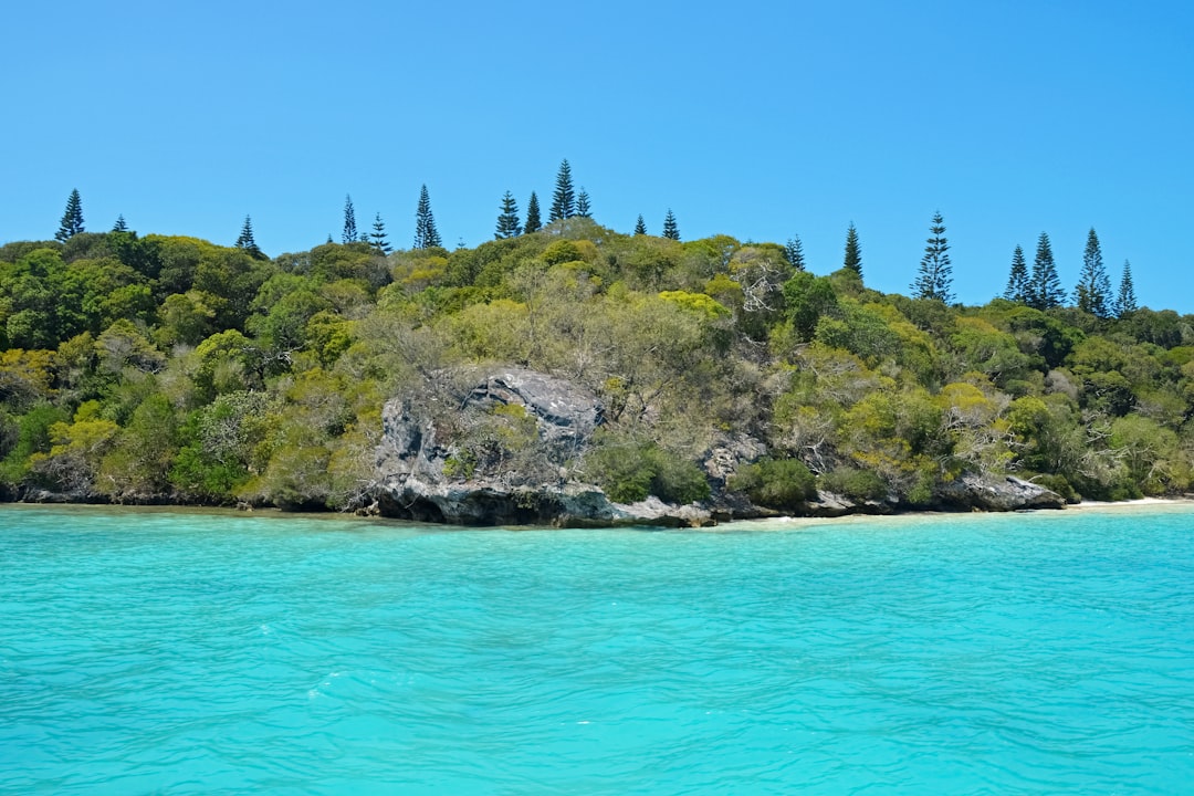 green trees on island during daytime