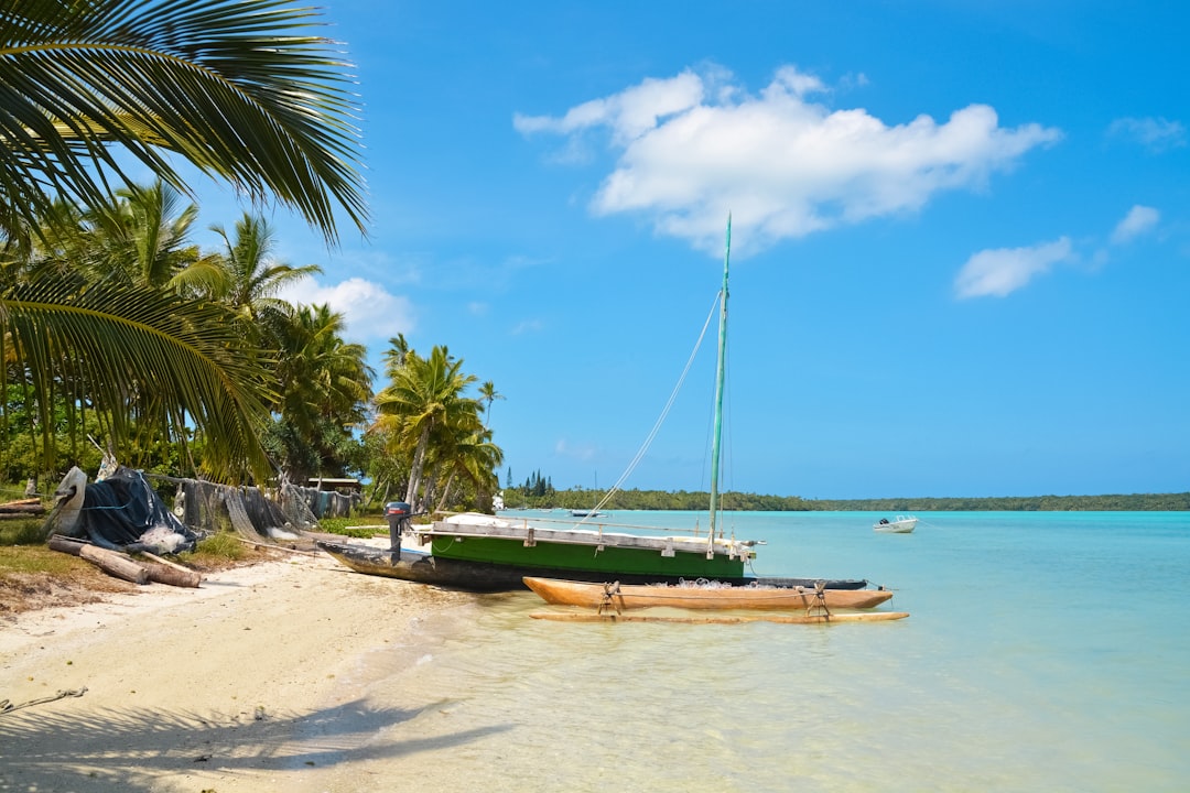 green and brown boat on beach during daytime