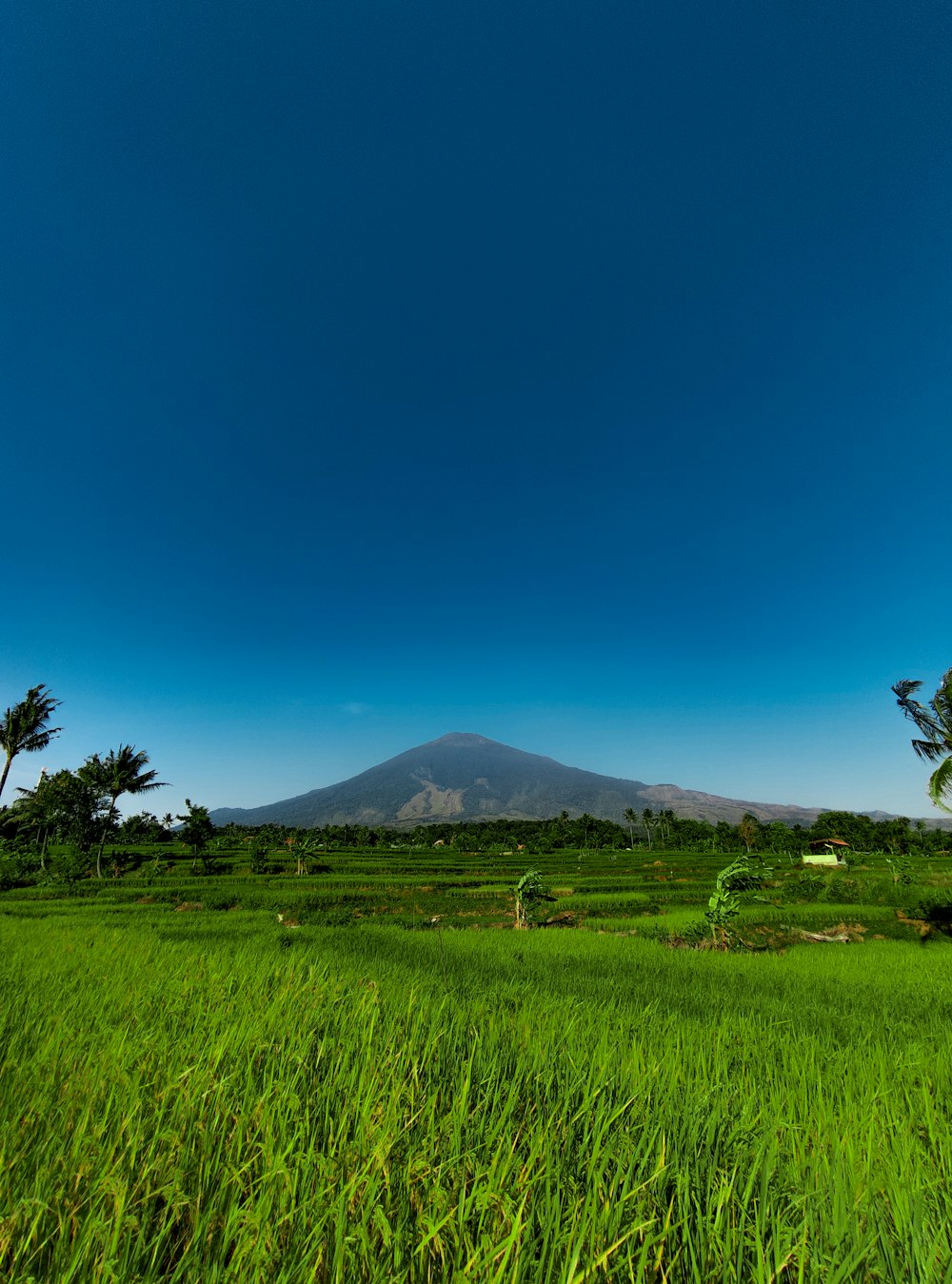 campo de grama verde perto da montanha sob o céu azul durante o dia