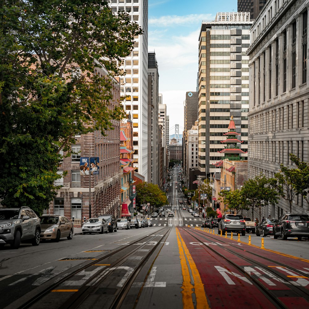 cars on road near high rise buildings during daytime