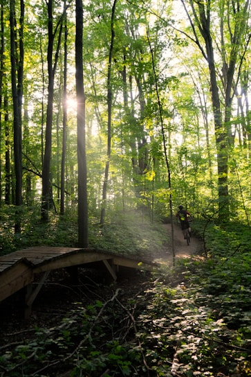 Cyclists riding through a lush jungle trail with sunlight filtering through the canopy.