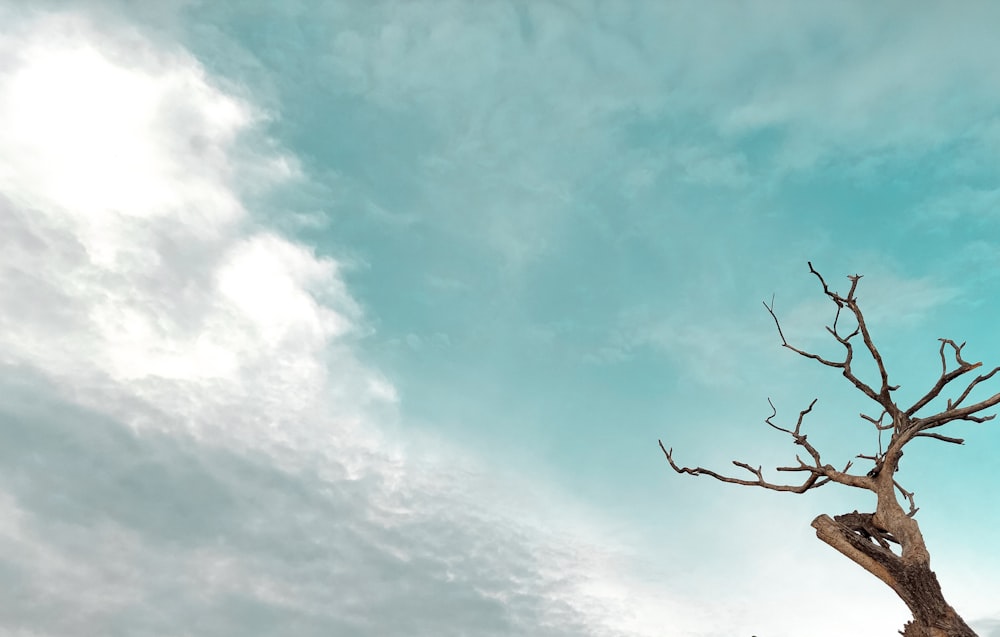 blue sky with white clouds