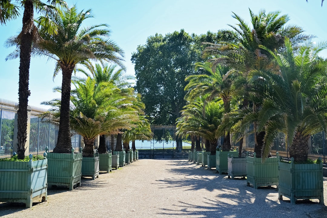 green trees near green metal fence under blue sky during daytime