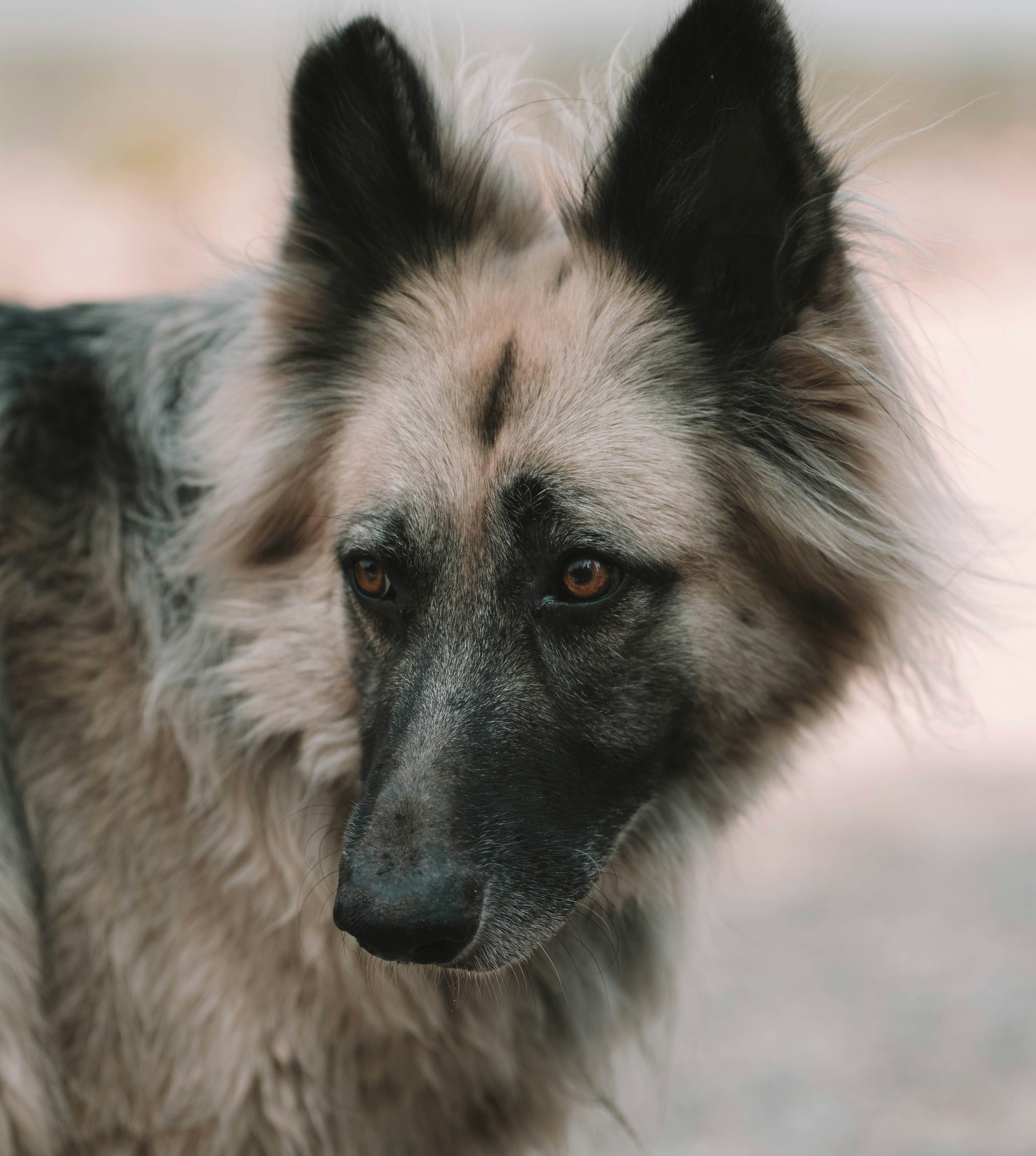 Photo by cortney_chummoungpak