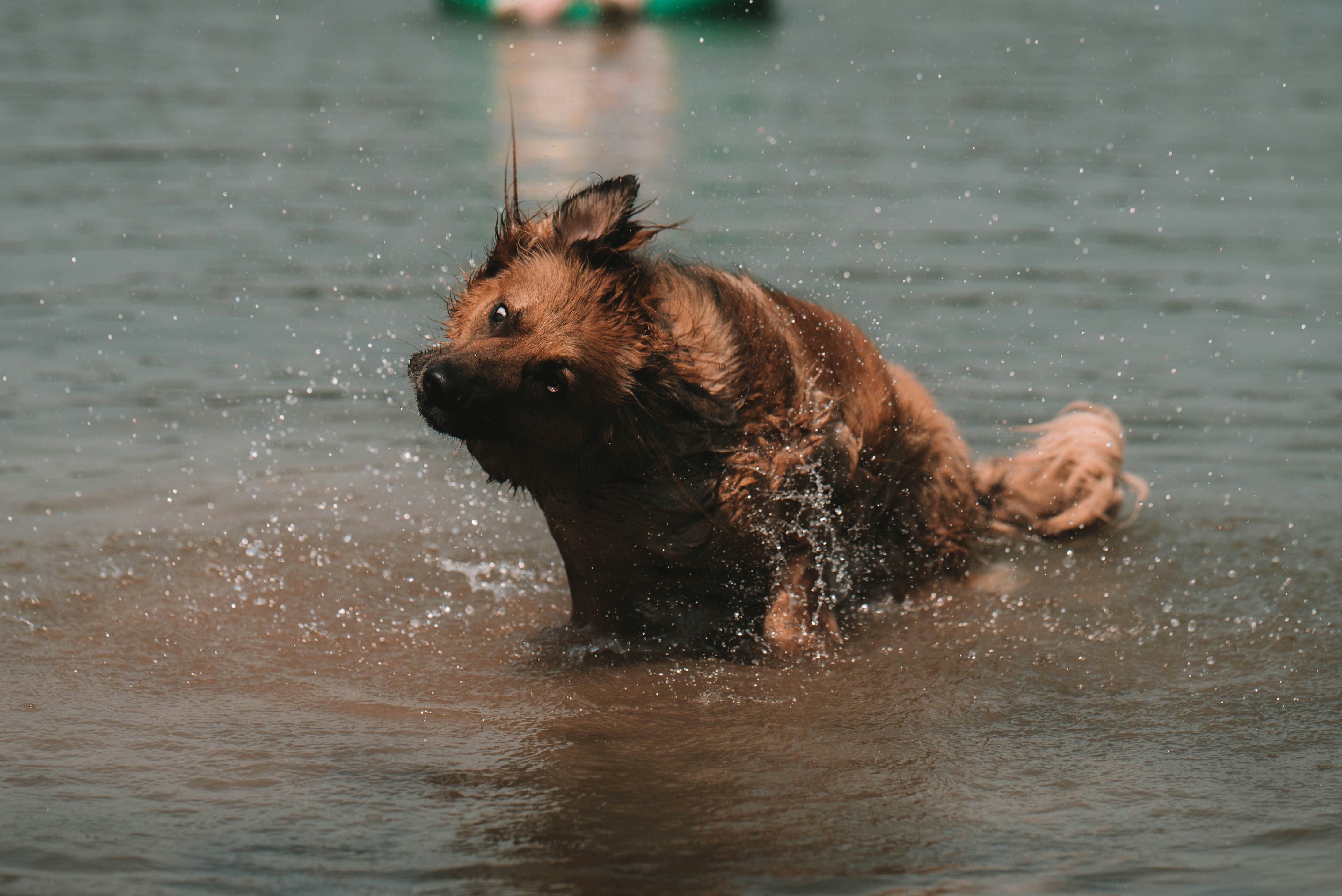 Photo by cortney_chummoungpak