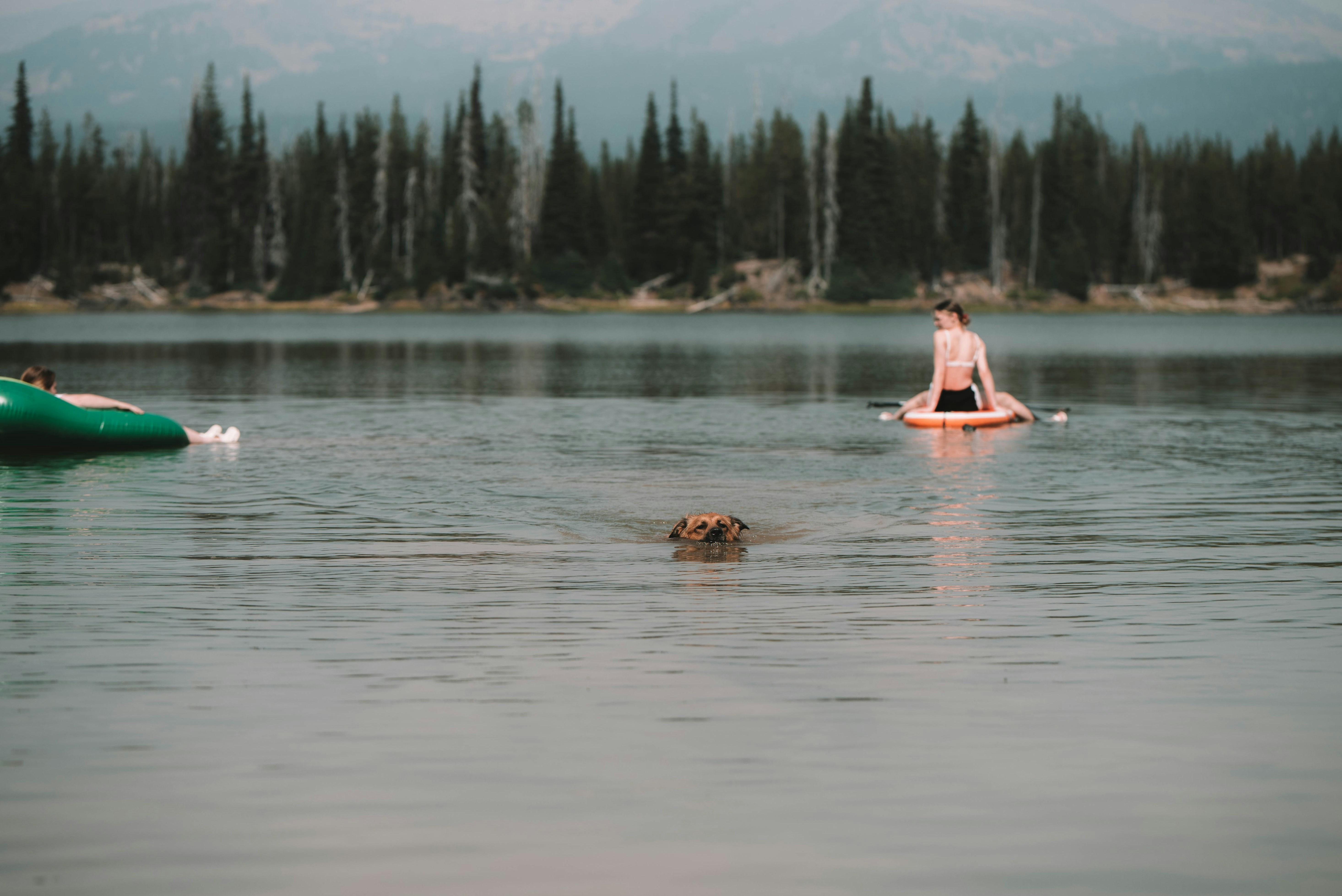 2 person riding on pink kayak on body of water during daytime