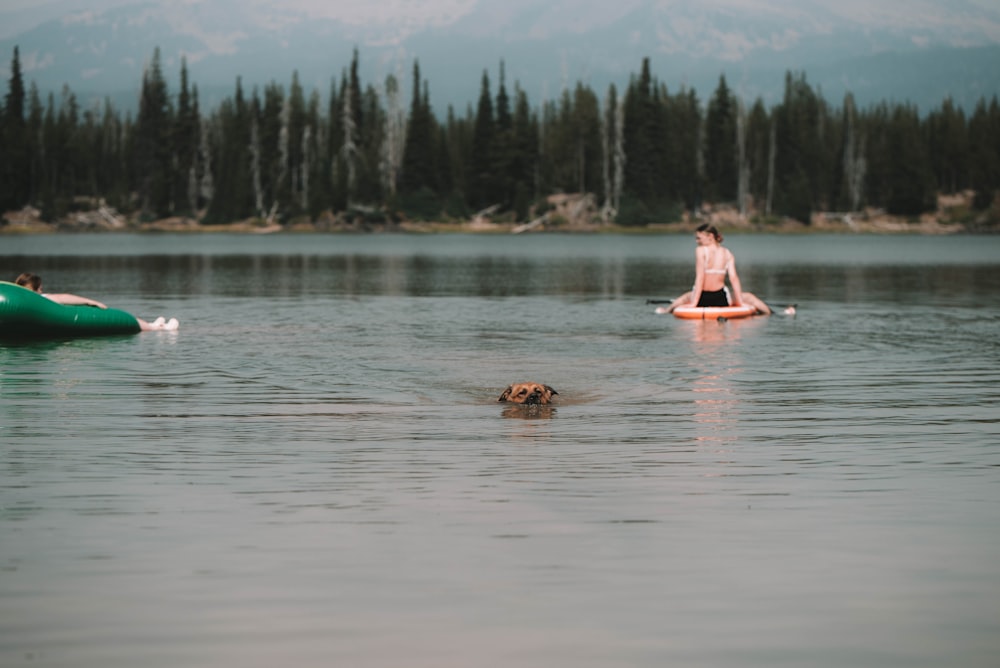 2 person riding on pink kayak on body of water during daytime