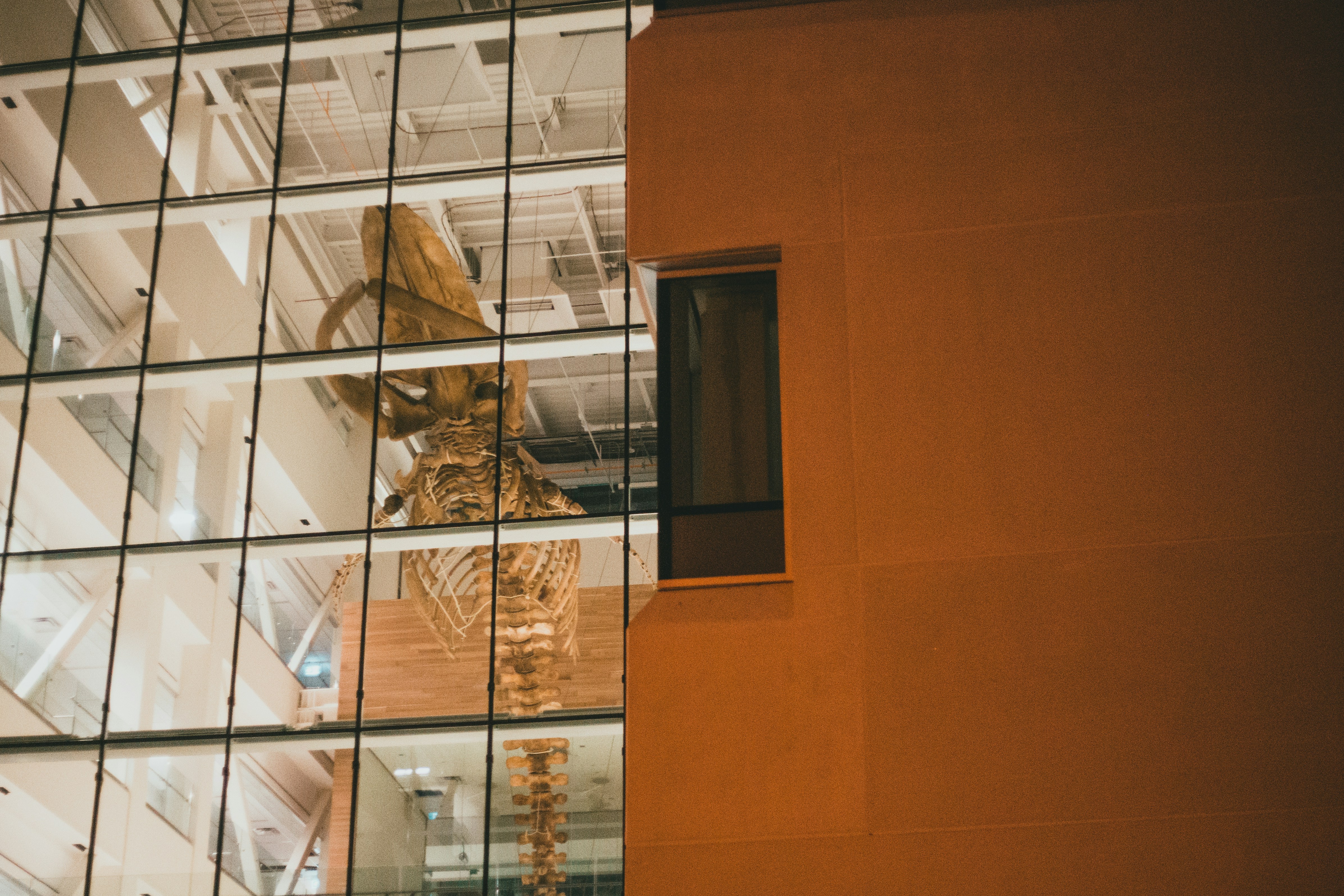 Photo by introspectivedsgn