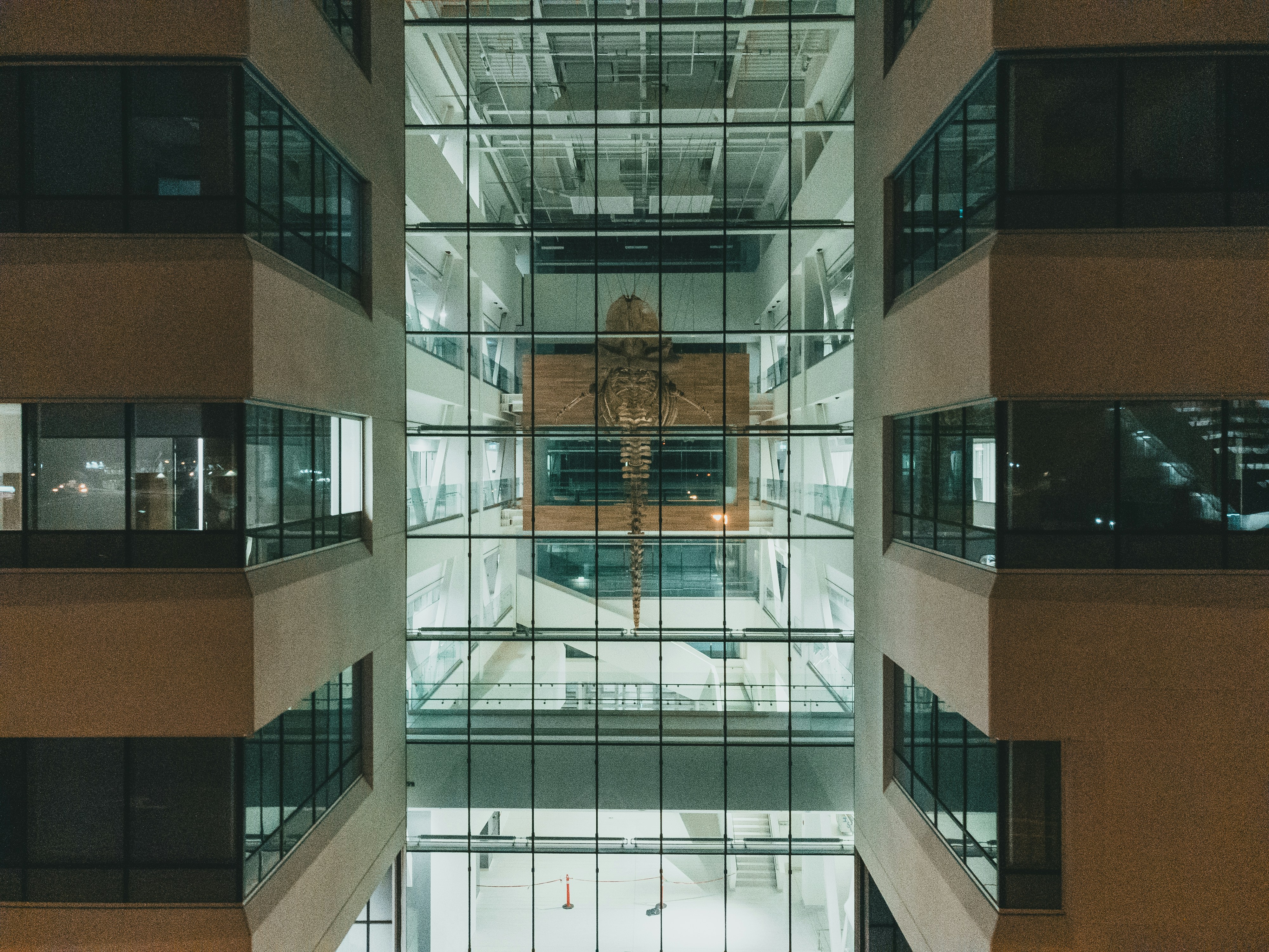 Photo by introspectivedsgn