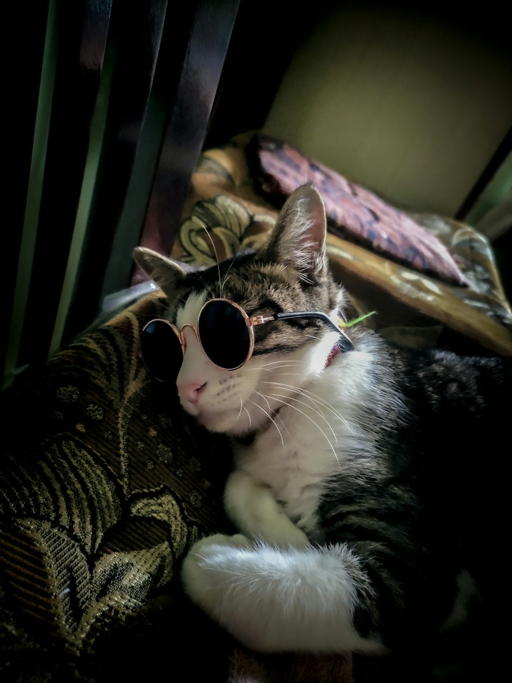 white and black cat wearing sunglasses lying on brown and black floral textile
