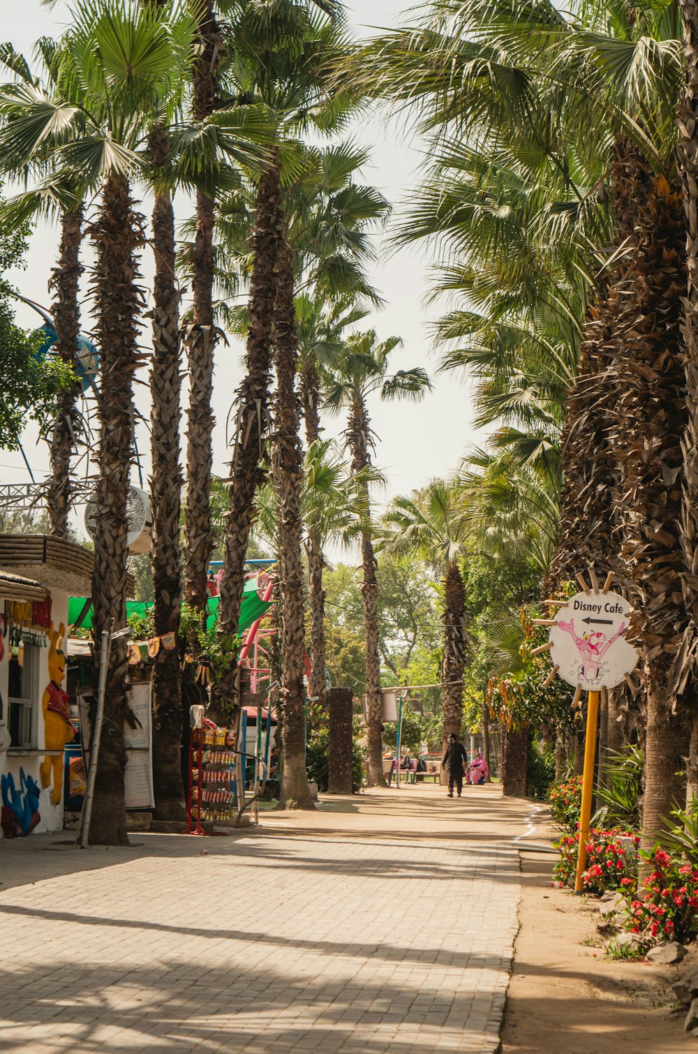 people walking on sidewalk near palm trees during daytime