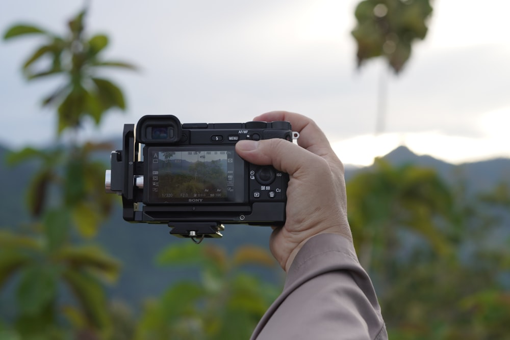 person holding black dslr camera